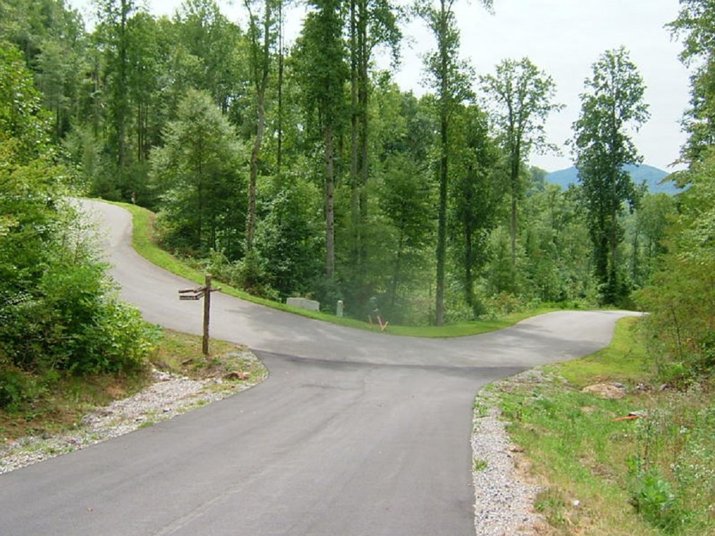 Garnet Ridge Tree Lined Roads